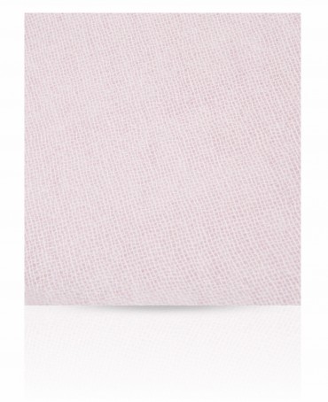 Палантин Женский C-CAS_26S.1/PASTEL